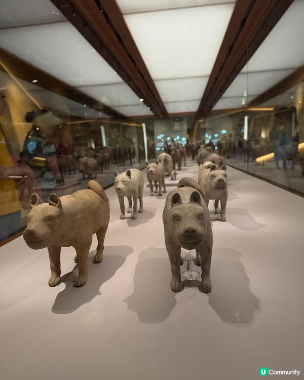 兵馬俑展覽🤩！香港睇都咁正！快啲去！🏃🏻‍♀️7月7號完