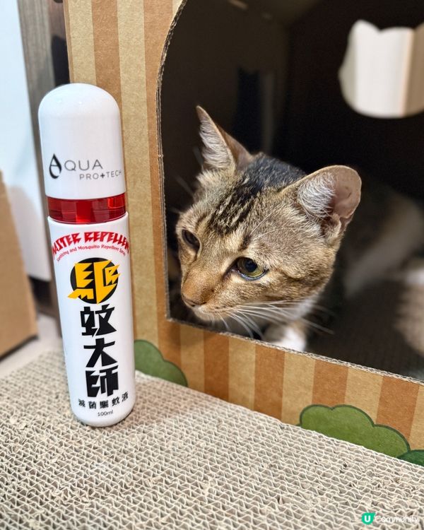 「驅蚊大師」滅菌驅蚊，毛孩🐱🐶都啱用！