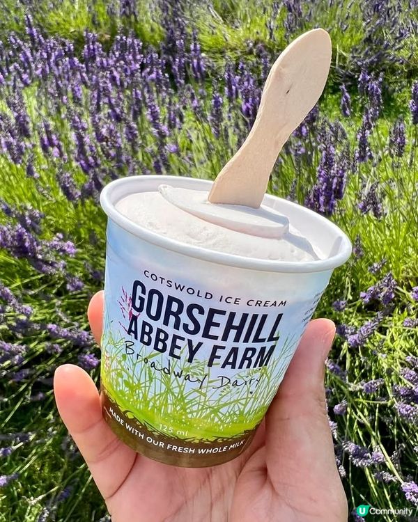 『英國』英國都有薰衣草花田🪻💜