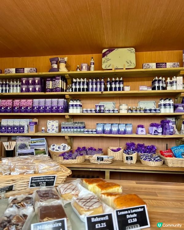 『英國』英國都有薰衣草花田🪻💜