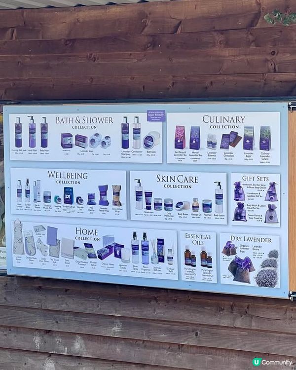 『英國』英國都有薰衣草花田🪻💜