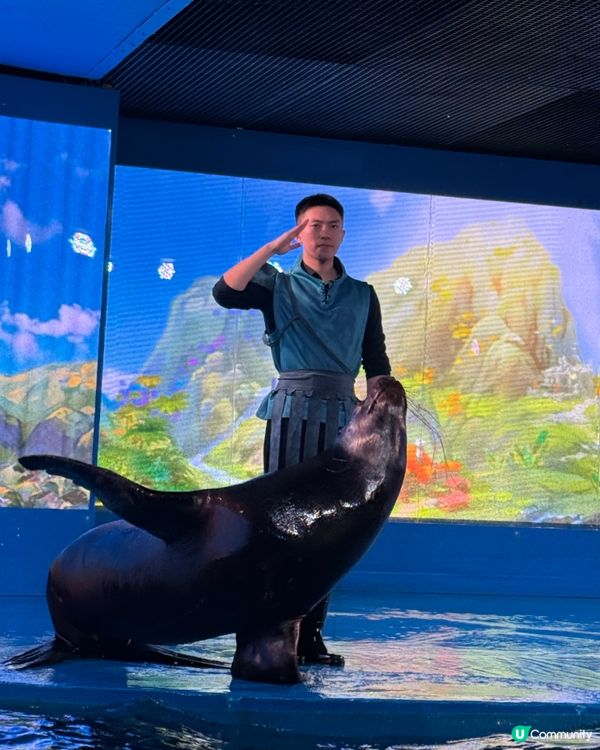 ［深圳抵玩推介］海洋奇夢館！港人半價！小童1.2米下免費入場🤩