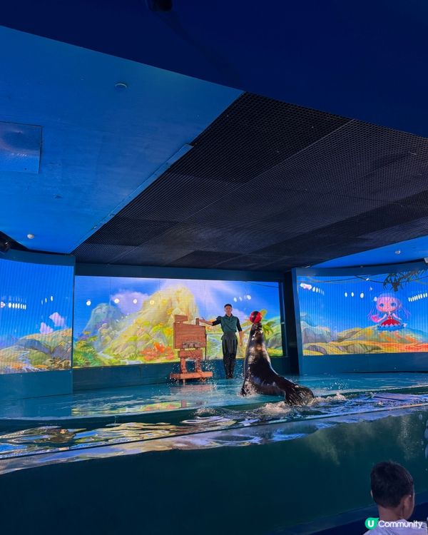 ［深圳抵玩推介］海洋奇夢館！港人半價！小童1.2米下免費入場🤩