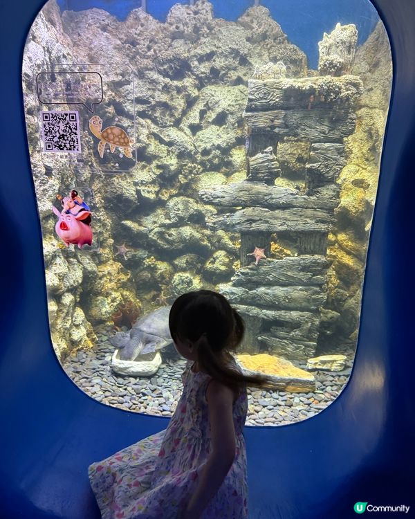 ［深圳抵玩推介］海洋奇夢館！港人半價！小童1.2米下免費入場🤩