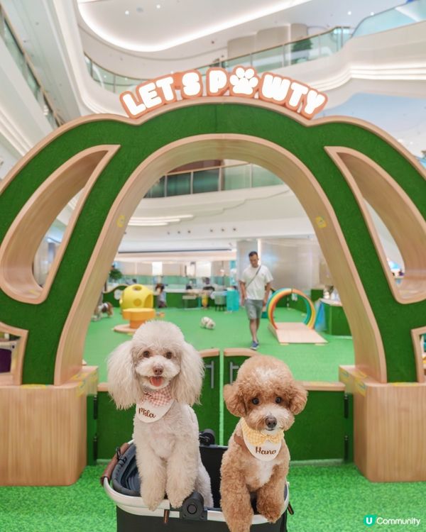 室內貓狗樂園勁好玩🥳 嘆冷氣放電一流！🐾