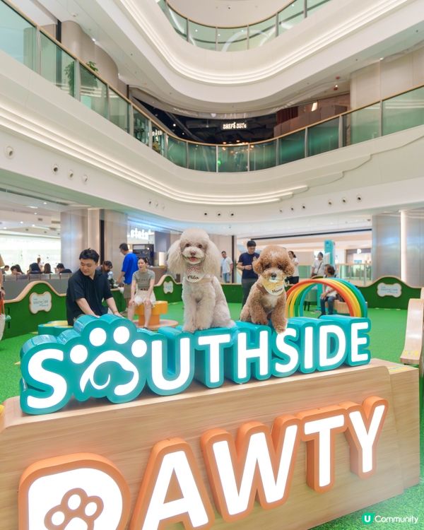 室內貓狗樂園勁好玩🥳 嘆冷氣放電一流！🐾