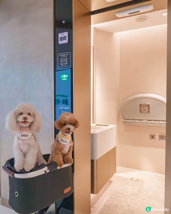 室內貓狗樂園勁好玩🥳 嘆冷氣放電一流！🐾