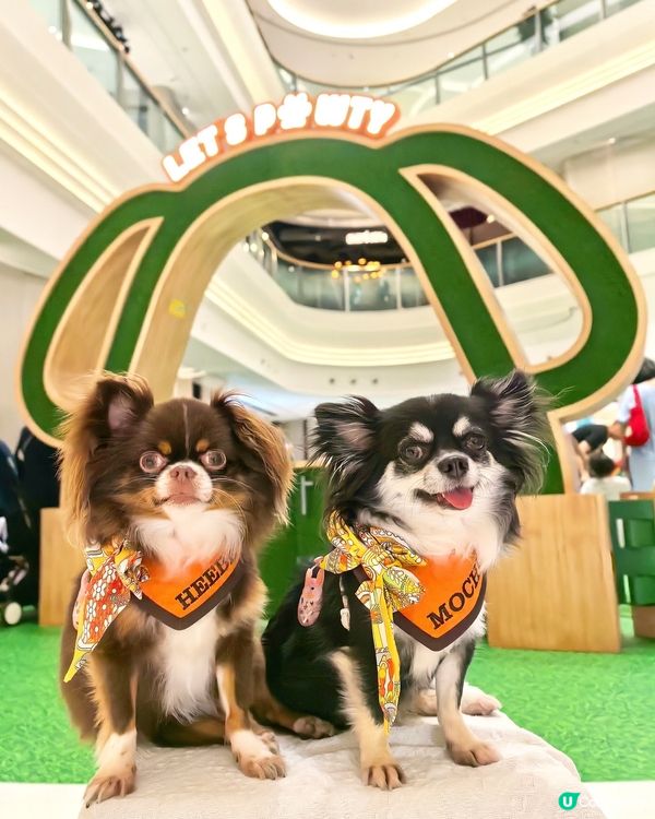 你想唔想係商場內｢涼著冷氣｣下跑跑呢?