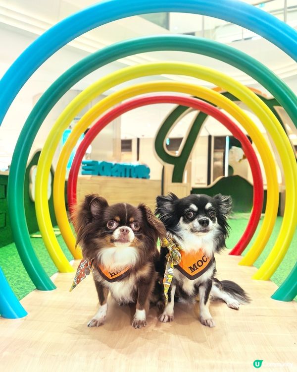 你想唔想係商場內｢涼著冷氣｣下跑跑呢?