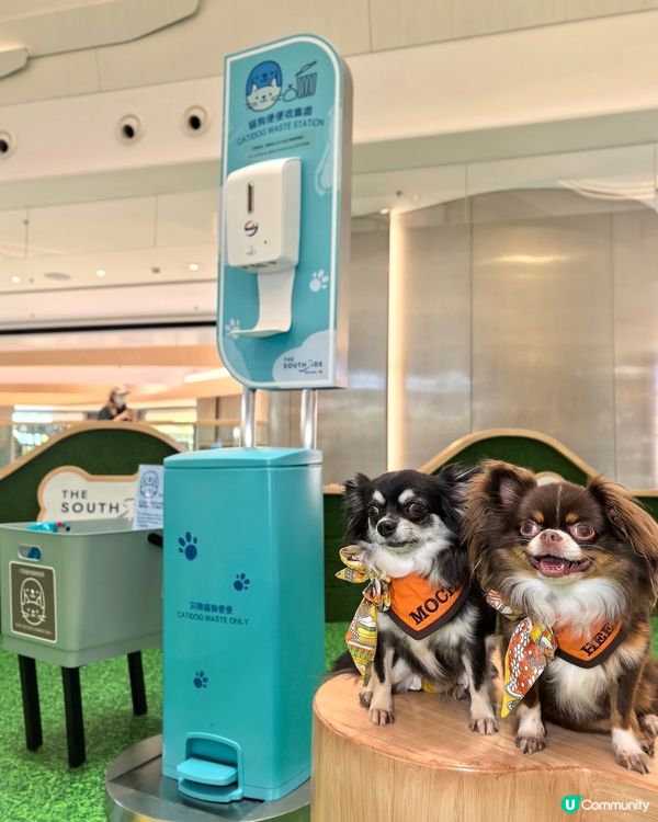 你想唔想係商場內｢涼著冷氣｣下跑跑呢?