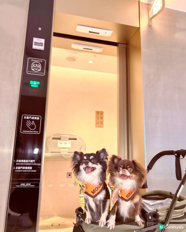 你想唔想係商場內｢涼著冷氣｣下跑跑呢?