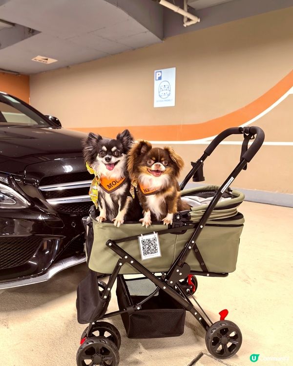 你想唔想係商場內｢涼著冷氣｣下跑跑呢?