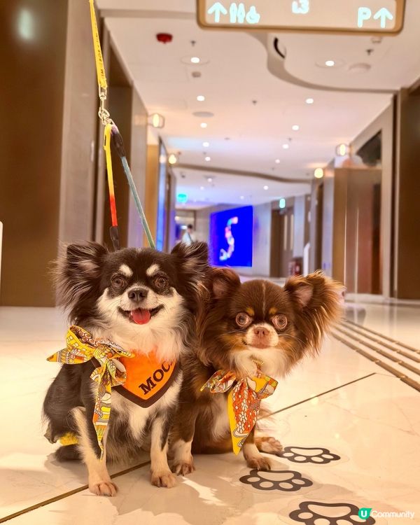 你想唔想係商場內｢涼著冷氣｣下跑跑呢?