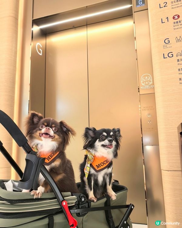 你想唔想係商場內｢涼著冷氣｣下跑跑呢?