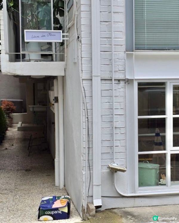 🇰🇷首爾望遠洞人氣Cafe 🌿無麩質甜點都可以好好味