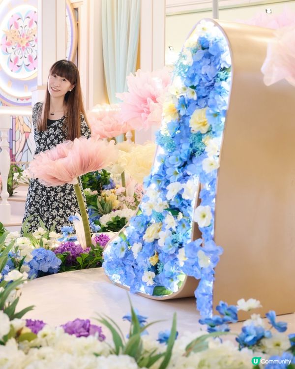 將軍澳 打靚卡 . 迪士尼公主仲夏花園