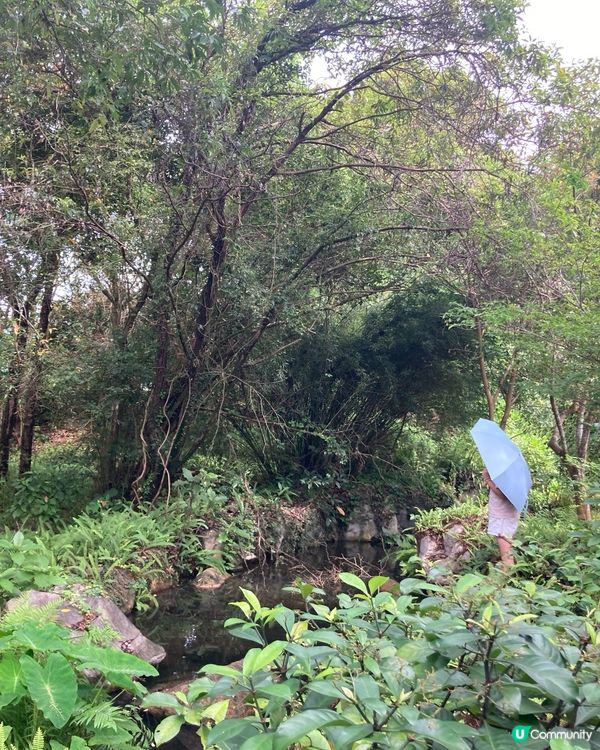 重遊濕地公園下午