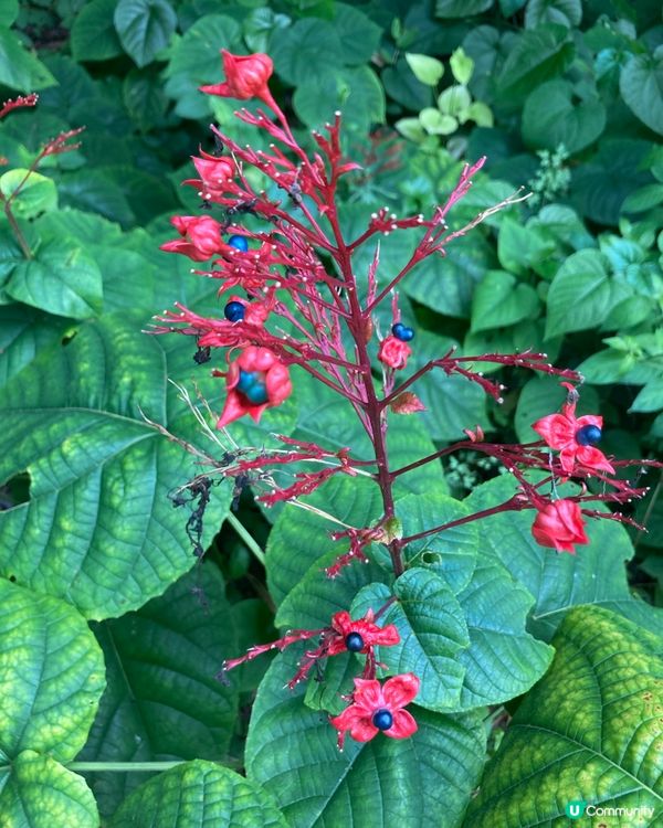 重遊濕地公園下午