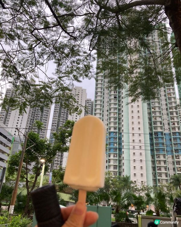 尋味在天水圍、元朗的街頭