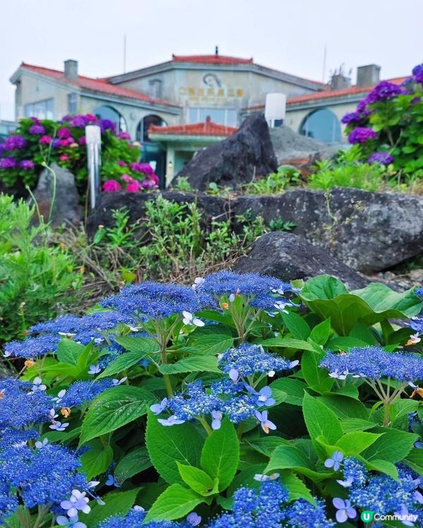 韓劇feel  📸 估舊 Café