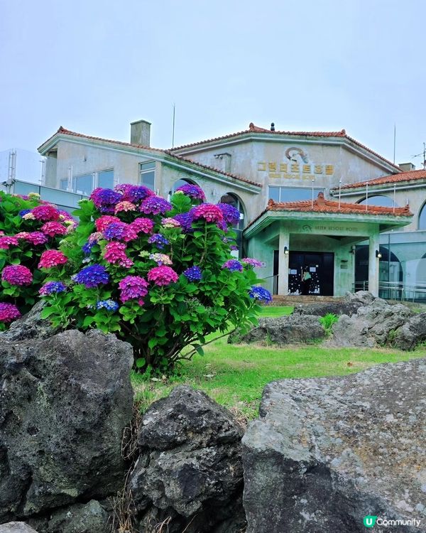 韓劇feel  📸 估舊 Café