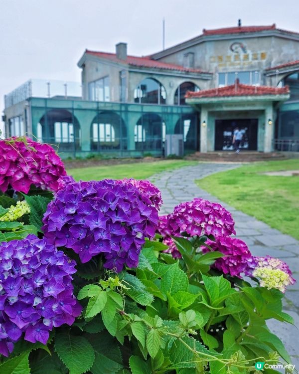 韓劇feel  📸 估舊 Café