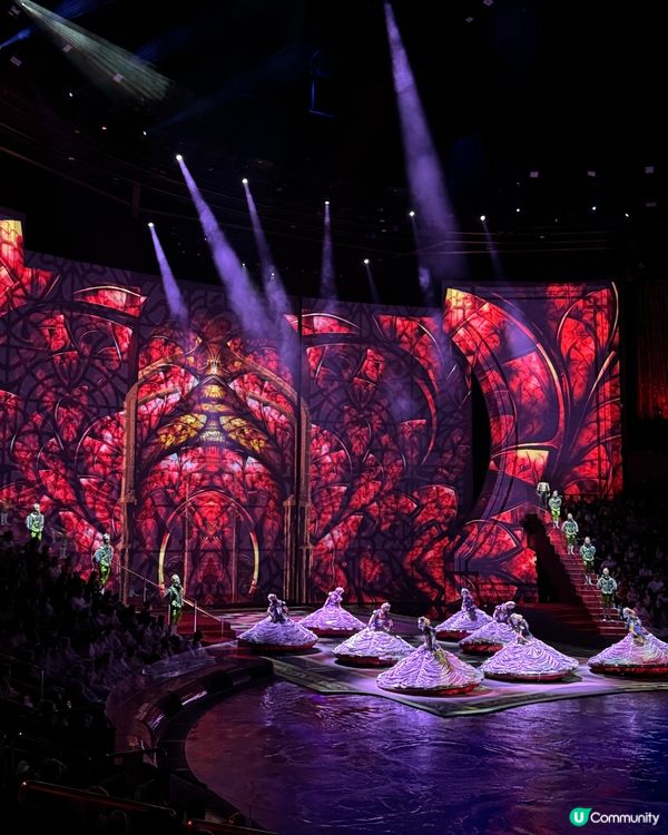 水舞間必睇！澳門必去嘅視覺盛宴🤩