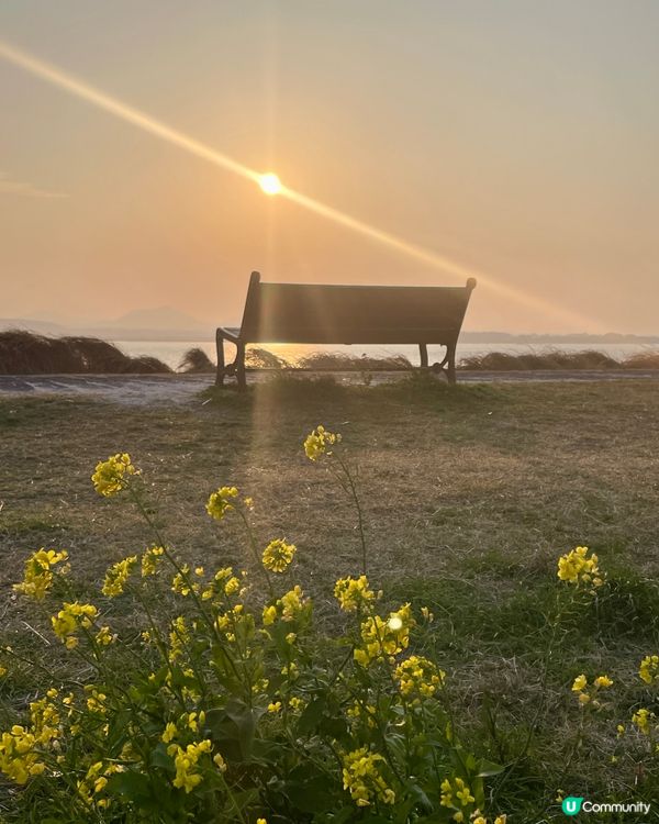 西濱白沙🏖️珊瑚海邊🪸濟州牛島八景之一！