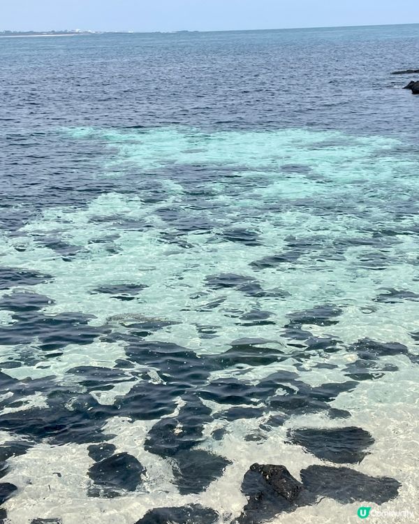 西濱白沙🏖️珊瑚海邊🪸濟州牛島八景之一！