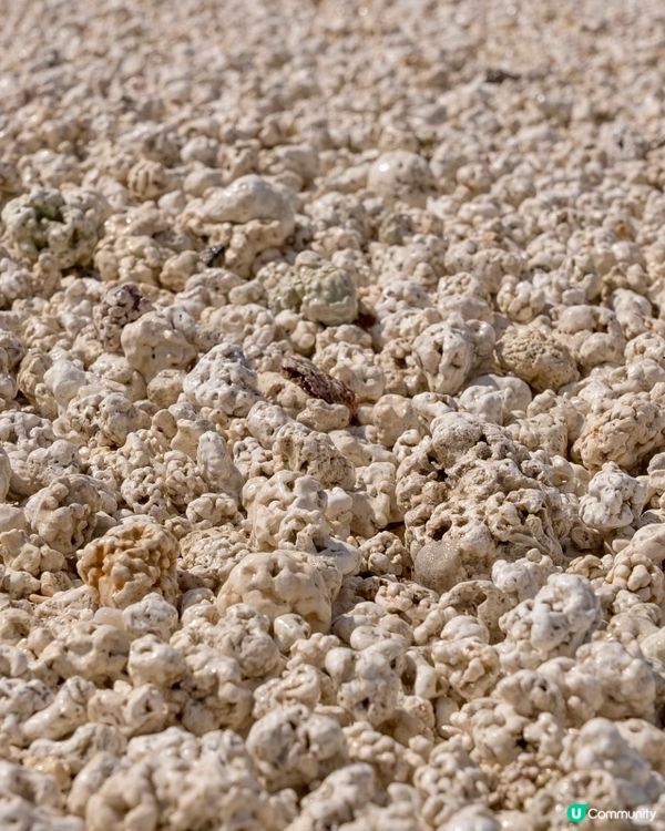 西濱白沙🏖️珊瑚海邊🪸濟州牛島八景之一！