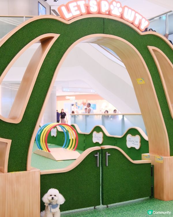 夏日室內放電好去處！貓狗都啱玩🥳 帶埋你去行街街！