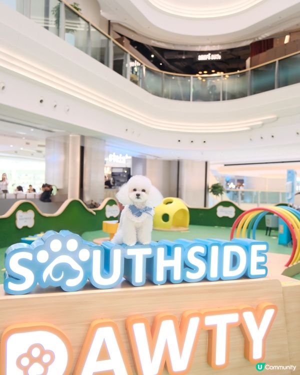 夏日室內放電好去處！貓狗都啱玩🥳 帶埋你去行街街！