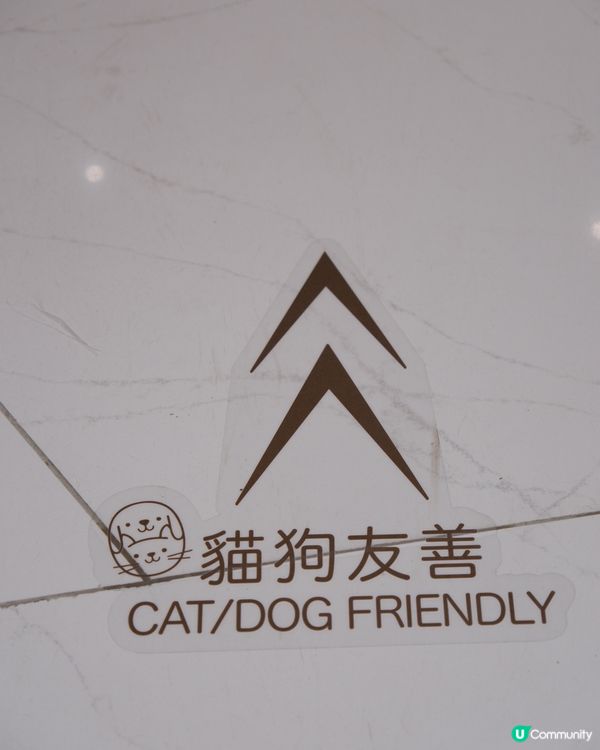 夏日室內放電好去處！貓狗都啱玩🥳 帶埋你去行街街！