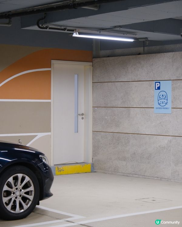 夏日室內放電好去處！貓狗都啱玩🥳 帶埋你去行街街！