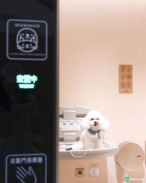 夏日室內放電好去處！貓狗都啱玩🥳 帶埋你去行街街！