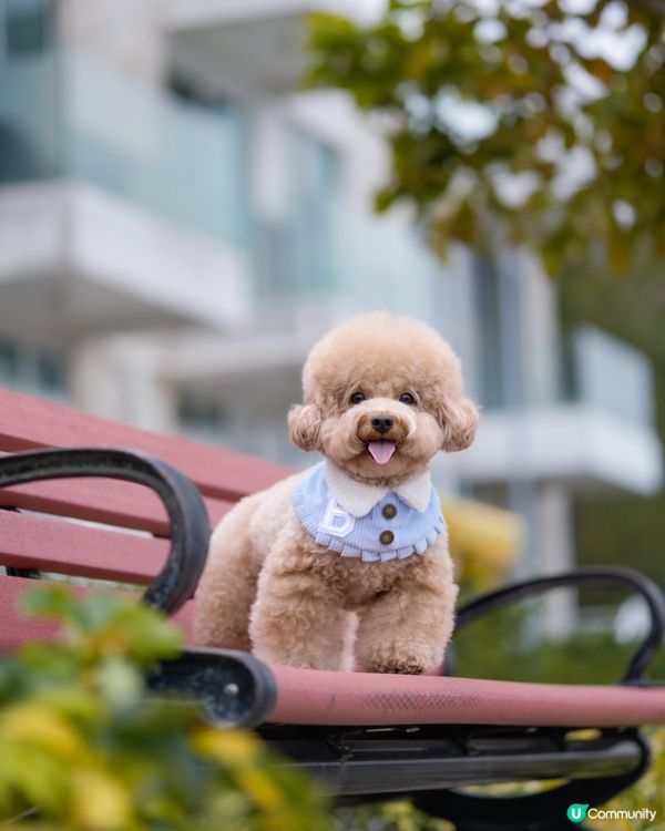 ⛴️長洲一日遊🌊