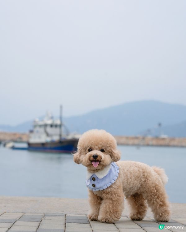 ⛴️長洲一日遊🌊