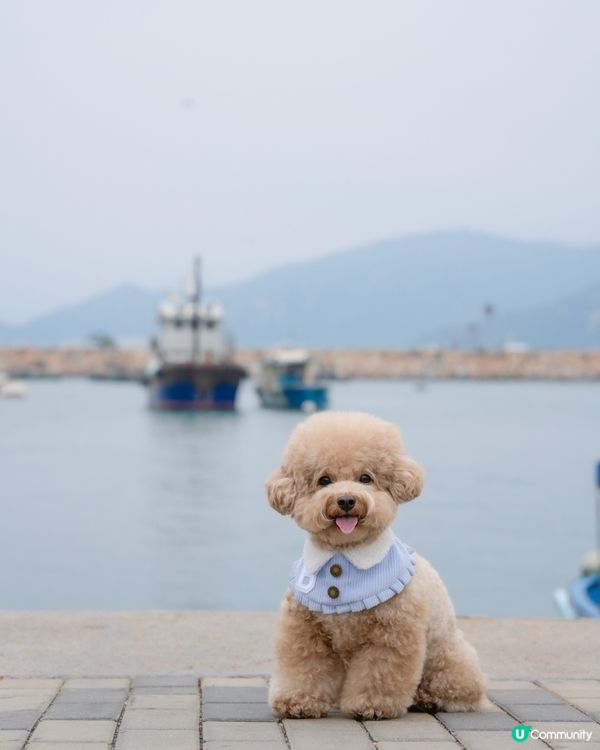 ⛴️長洲一日遊🌊