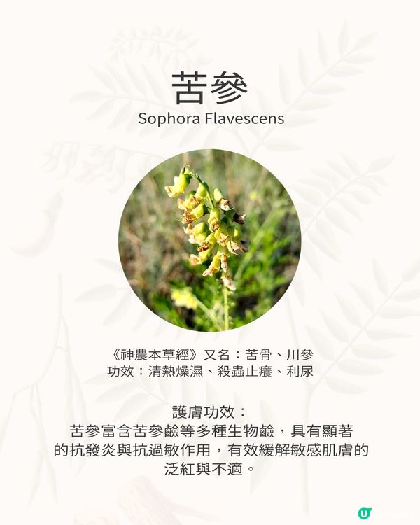 🌿 三重本草科學力量，敏感肌的安心守護！ 🌿