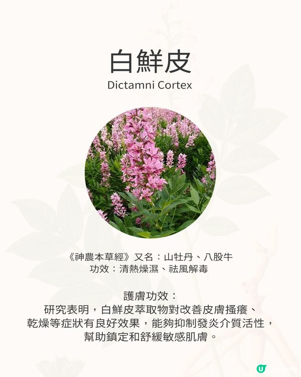 🌿 三重本草科學力量，敏感肌的安心守護！ 🌿