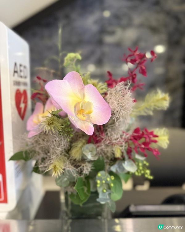 🪻Flowers of the Week🪻