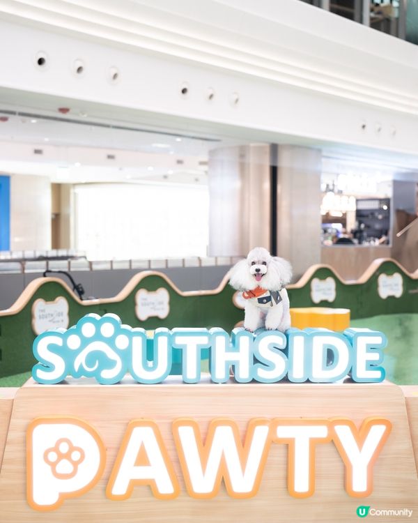 1.  夏日放電新蒲點！貓狗玩樂區開張啦🥳 盡情放電！