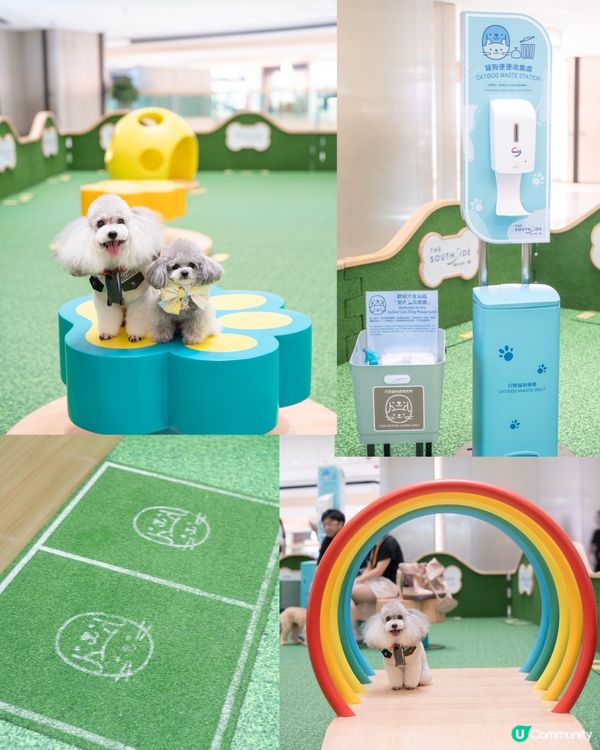 1.  夏日放電新蒲點！貓狗玩樂區開張啦🥳 盡情放電！