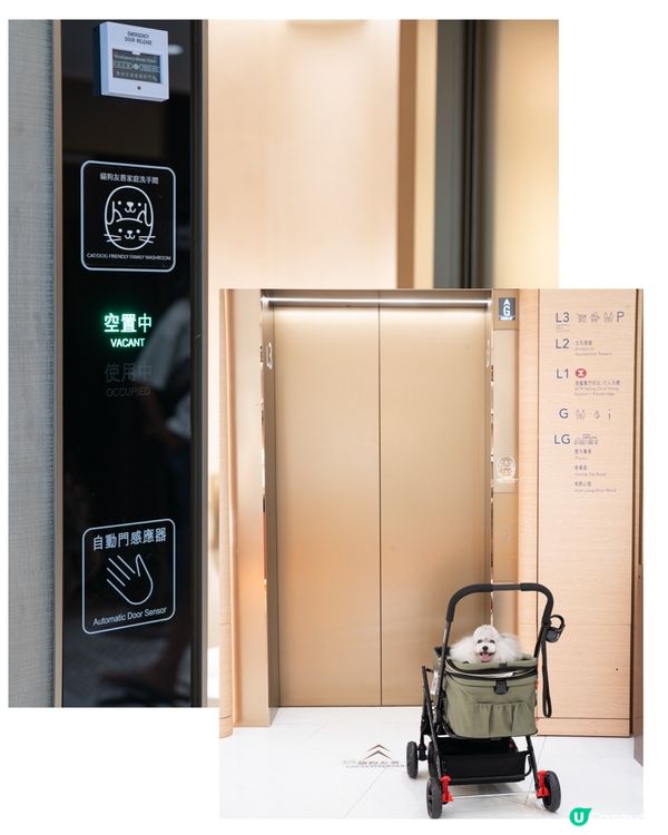 1.  夏日放電新蒲點！貓狗玩樂區開張啦🥳 盡情放電！