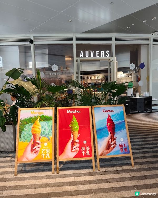 澳洲過江龍深圳嘆！🇦🇺 老友慢活時光 🤤