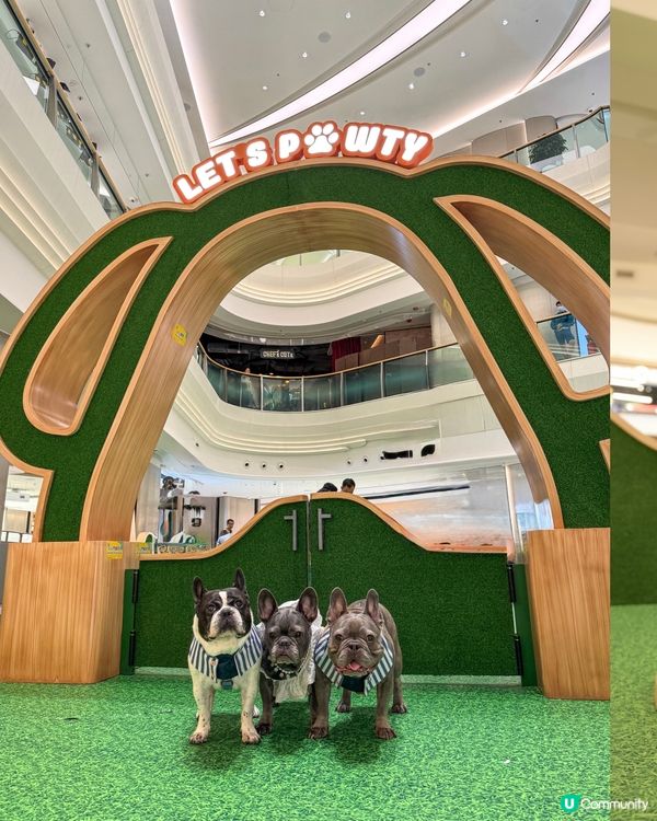 貓狗友善設施升級！放電打卡一流！🐾📸