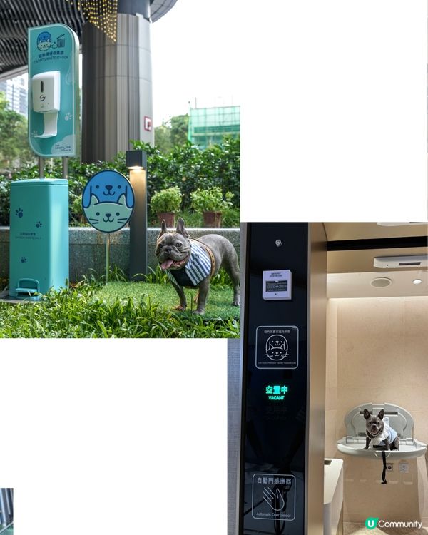 貓狗友善設施升級！放電打卡一流！🐾📸