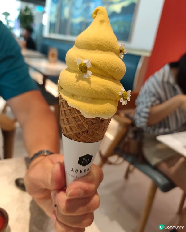 澳洲過江龍深圳嘆！🇦🇺 老友慢活時光 🤤