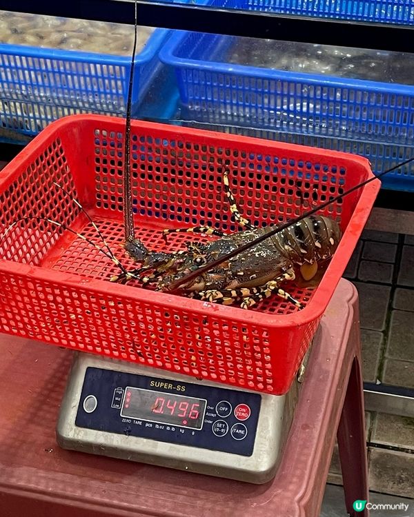 越南🇻🇳芽莊區人氣海鮮餐廳 🦀人氣高但有啲伏⁉️