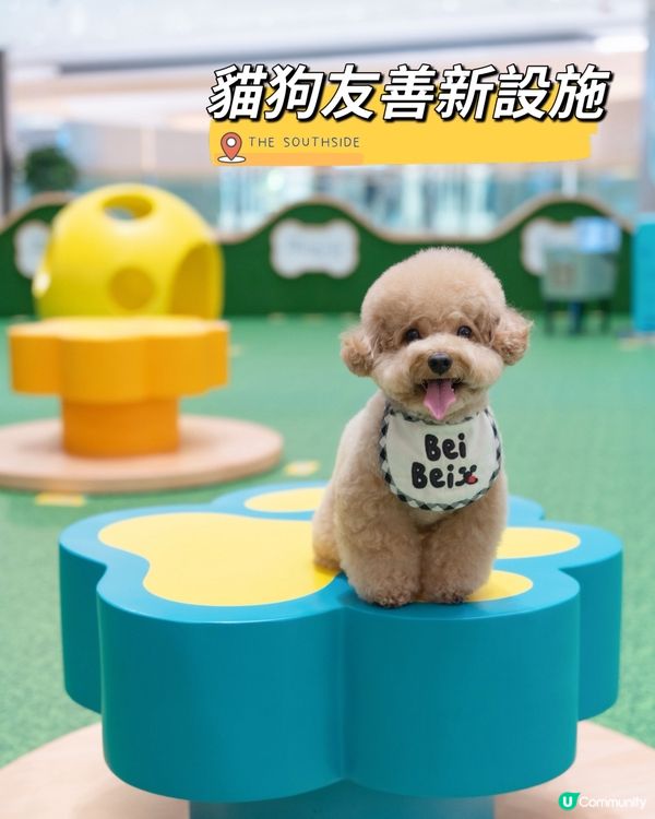 寵物友善商場-THE SOUTHSIDE 🐱🐶